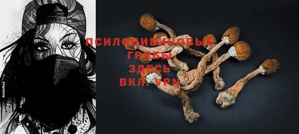 МДПВ Богданович