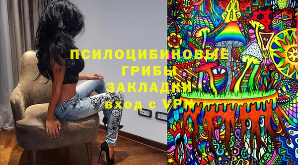 МДПВ Богданович