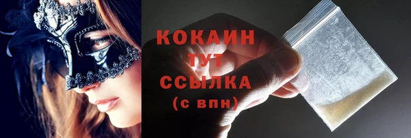тгк Богородицк
