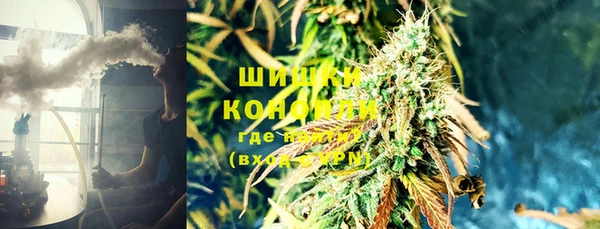 тгк Богородицк