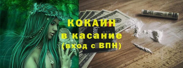 тгк Богородицк