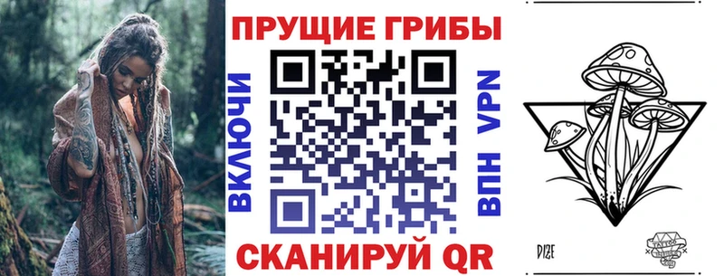 цена   Котельниково  Псилоцибиновые грибы Psilocybe 